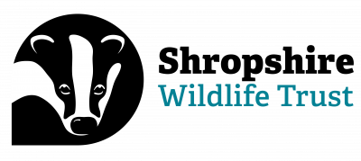 Shropshire Wildlife Trust logo