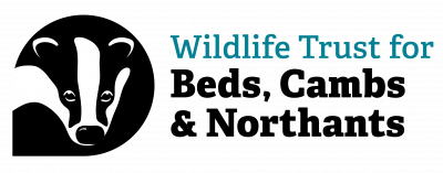 The Wildlife Trust For Bedfordshire Cambridgeshire & Northamptonshire logo